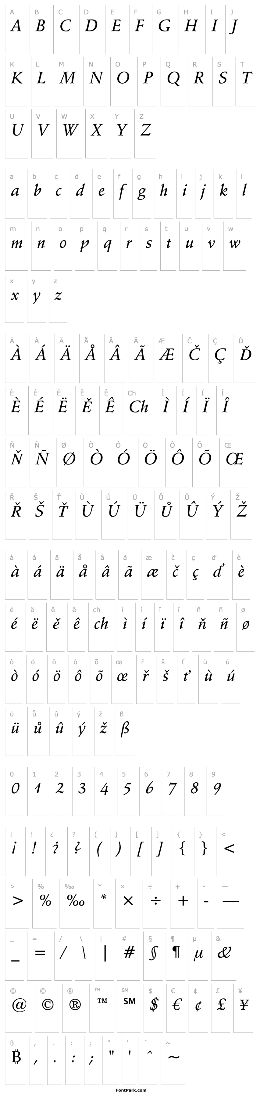 Overview Schneidler Md BT Medium Italic