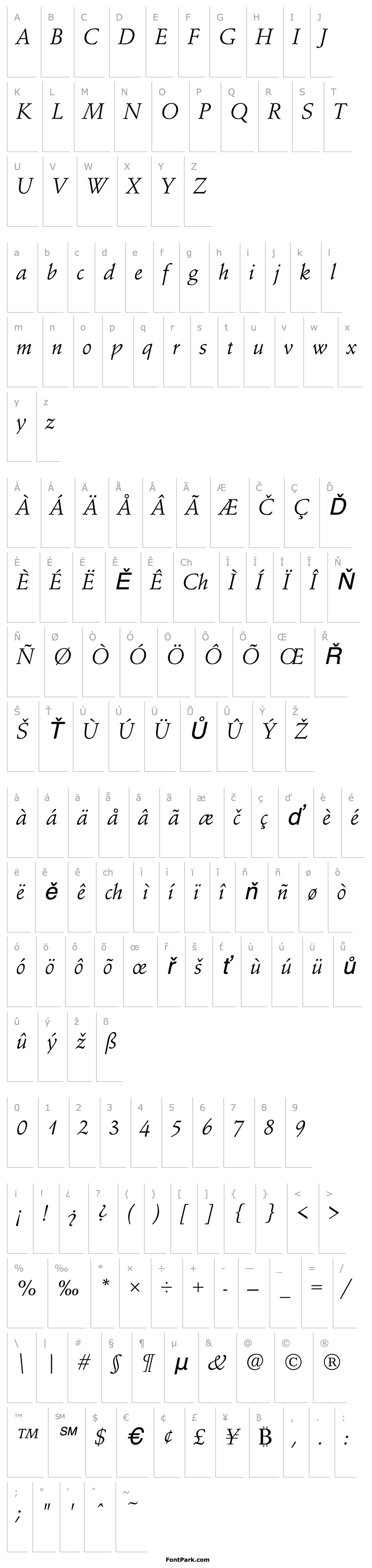 Overview SchneidlerAmaT Italic