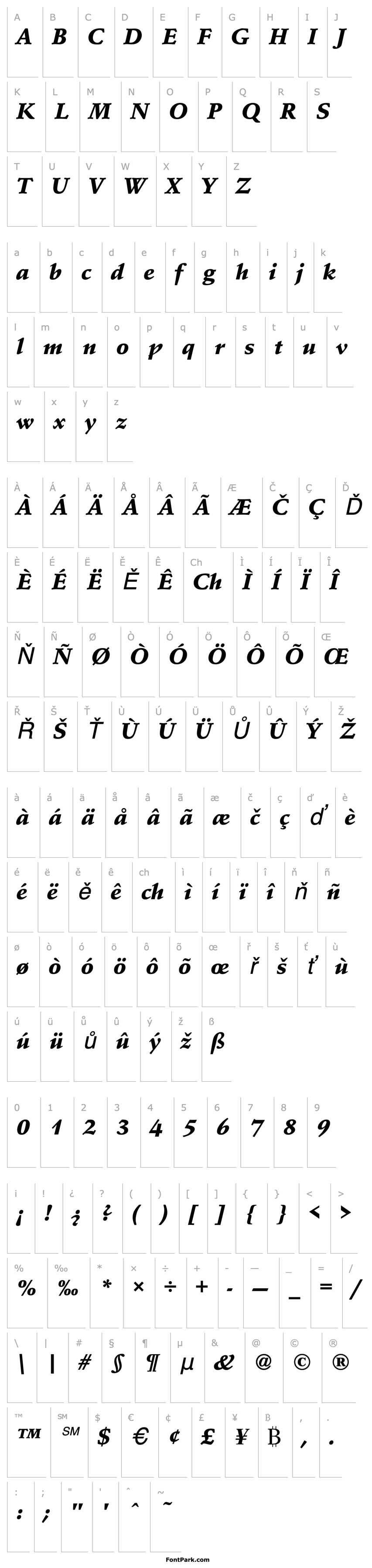 Přehled SchneidlerAmaTBla Italic