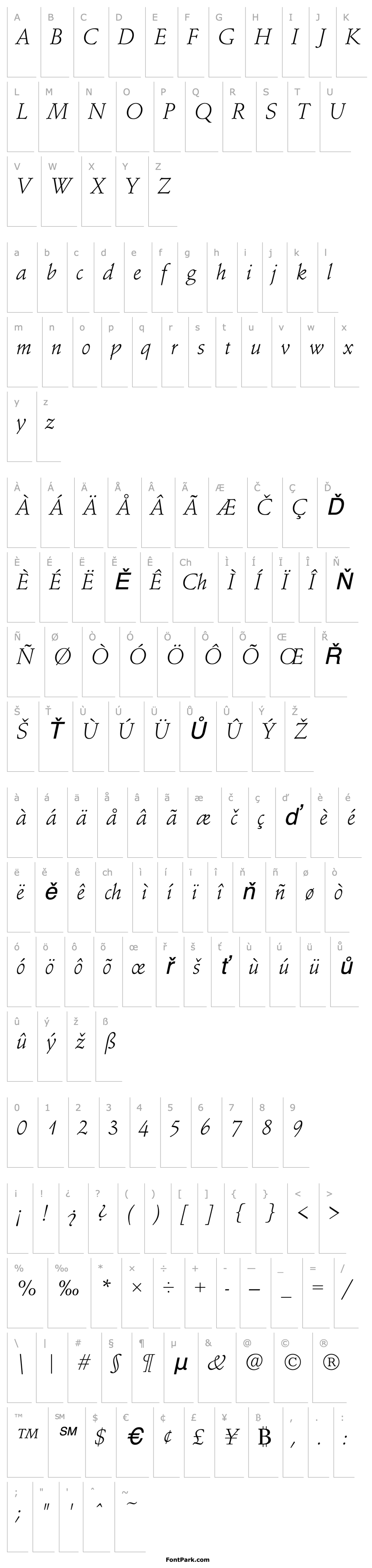 Přehled SchneidlerAmaTLig Italic