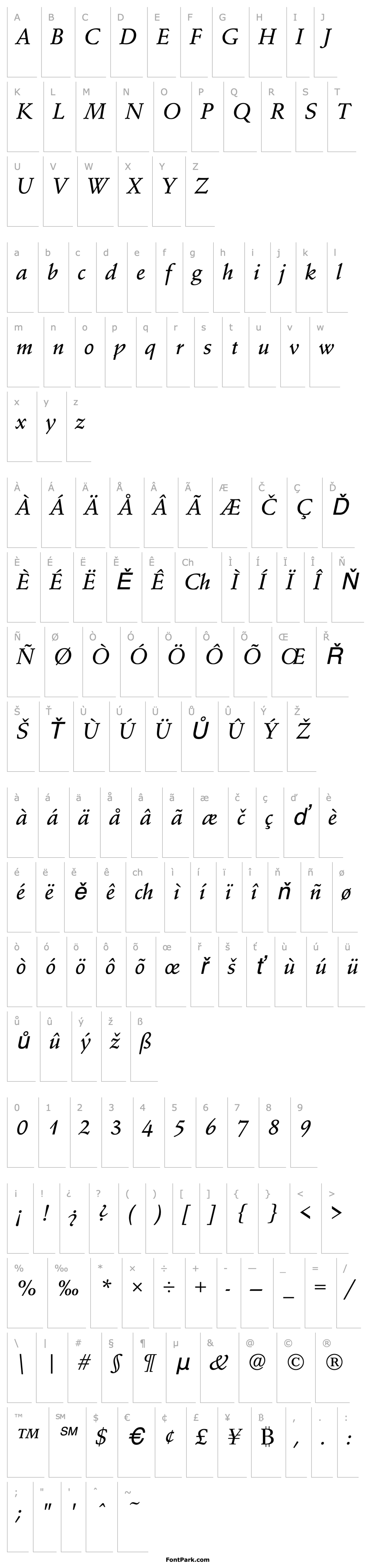 Overview SchneidlerAmaTMed Italic