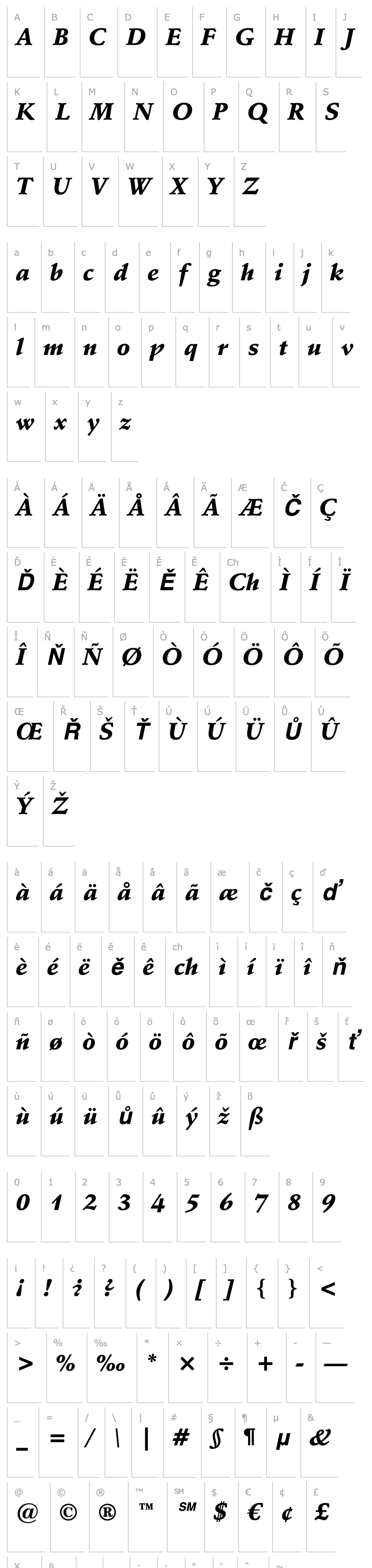 Overview SchneidlerBT-BlackItalic