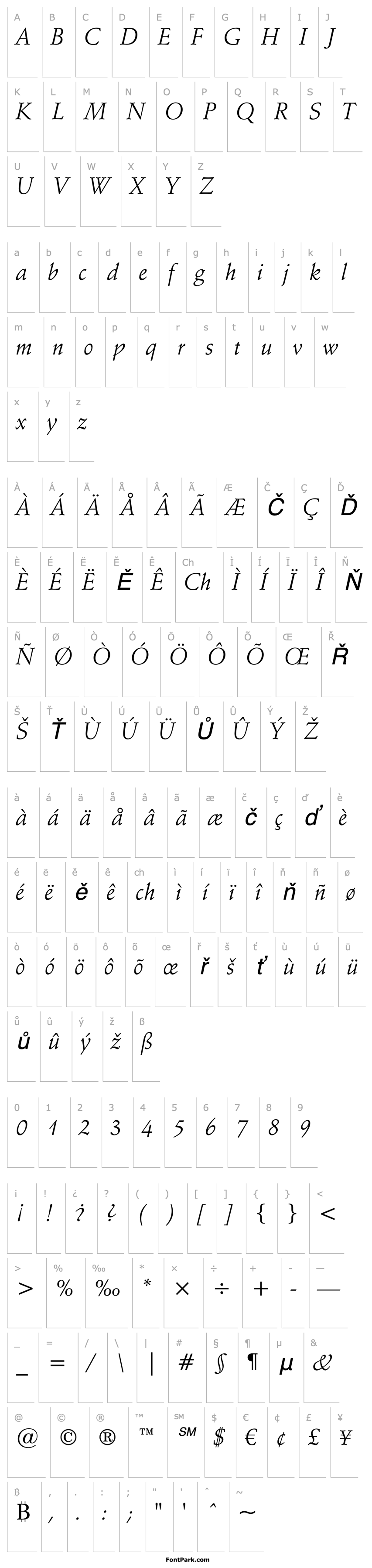 Overview SchneidlerBT-Italic