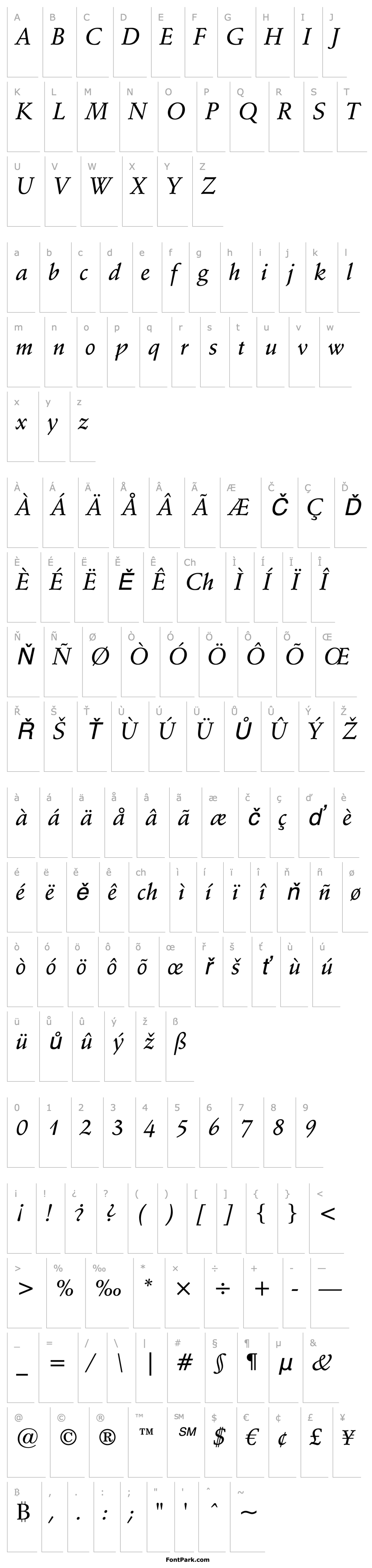 Overview SchneidlerBT-MediumItalic