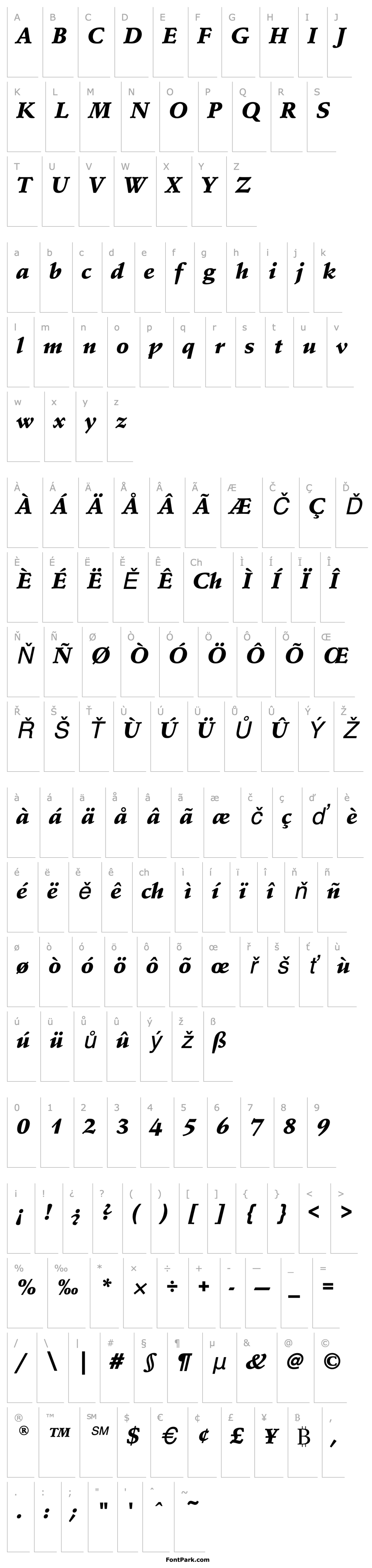 Overview SchneidlerEF-BlackItalic