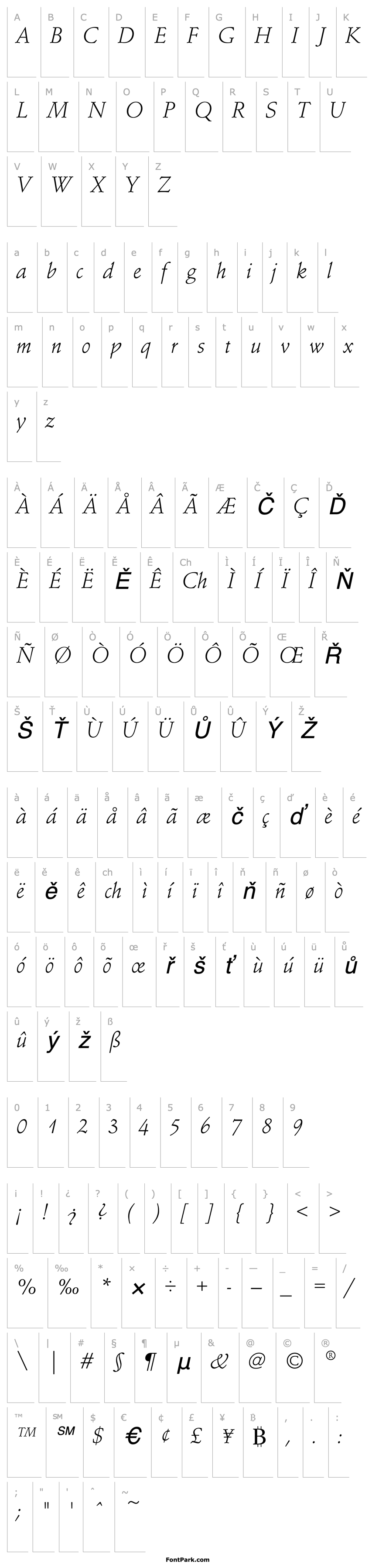 Overview SchneidlerEF-LightItalic