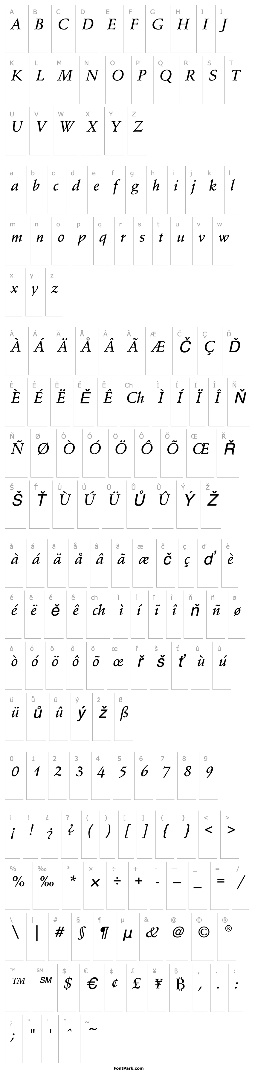 Overview SchneidlerEF-MediumItalic