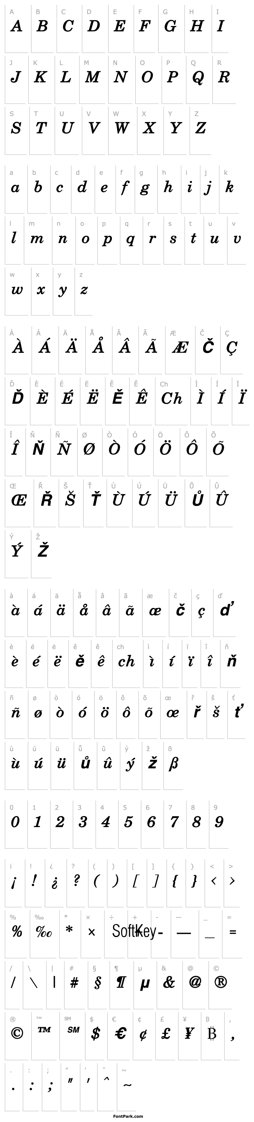 Přehled Schoolbook Bold Italic