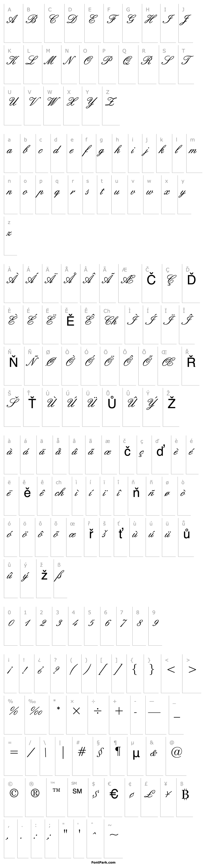 Přehled Script 33 Normal