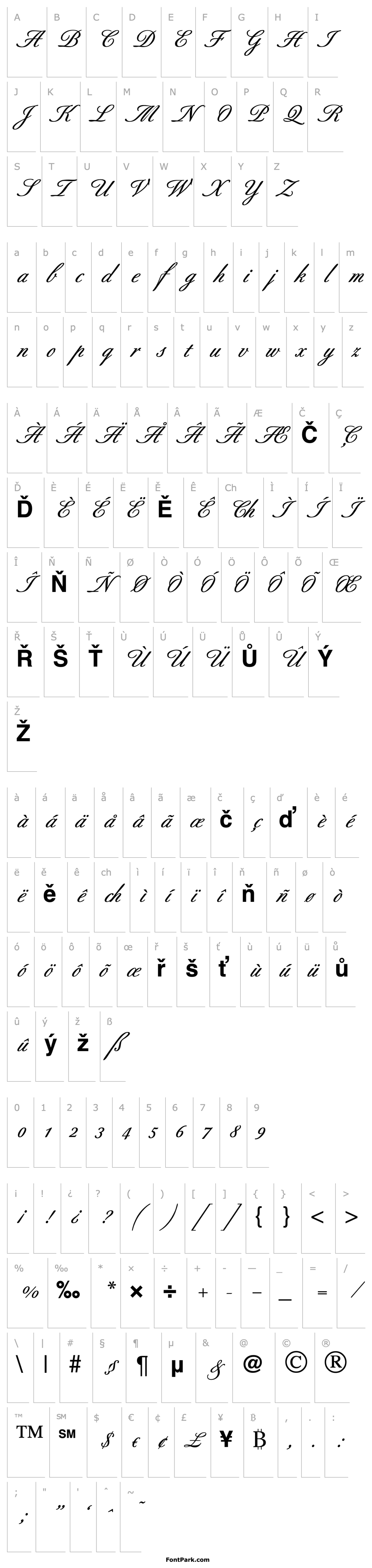 Přehled Script-B690-Bold