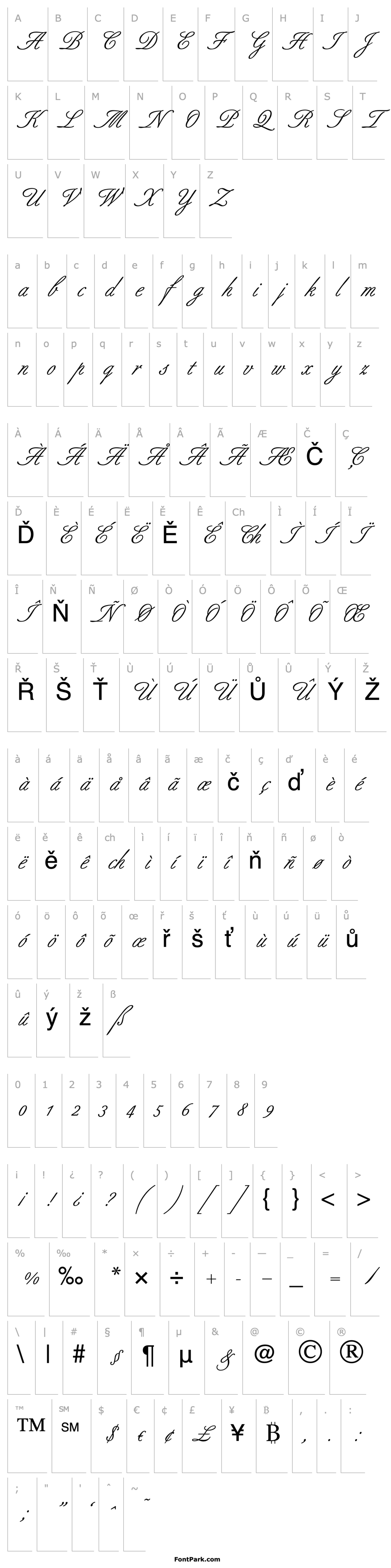 Přehled Script-B690-Regular