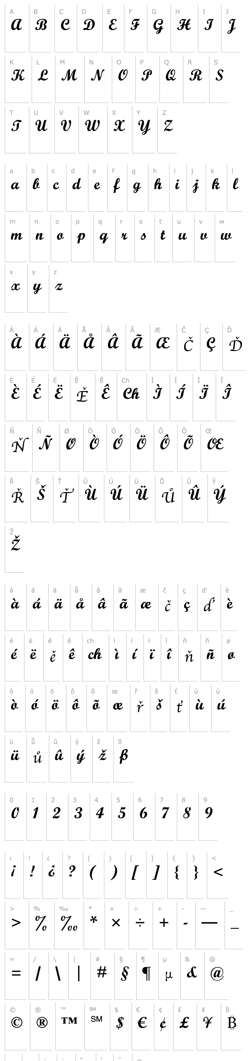 Přehled Script Bold MT