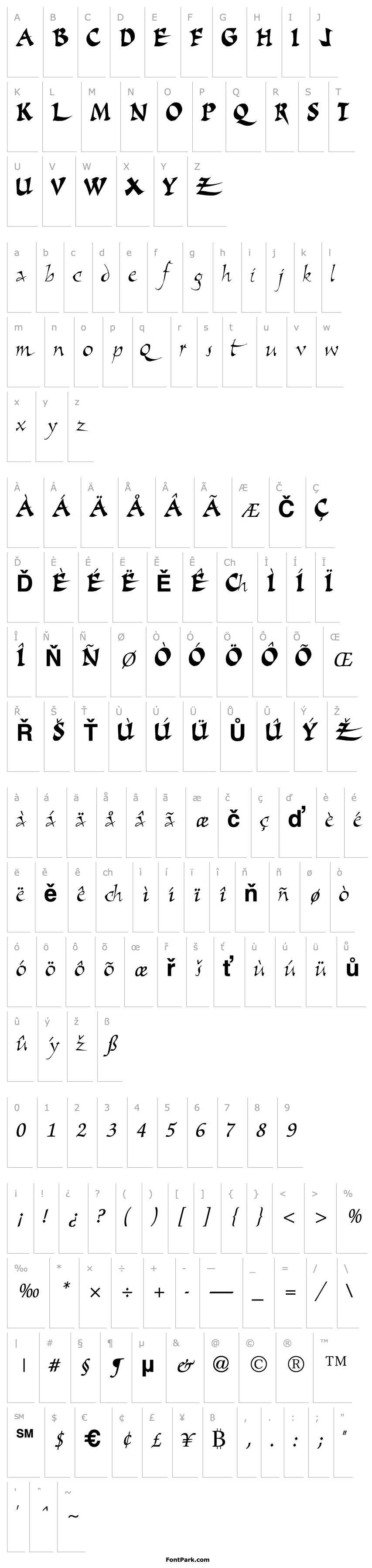 Overview Script Bold ttnorm