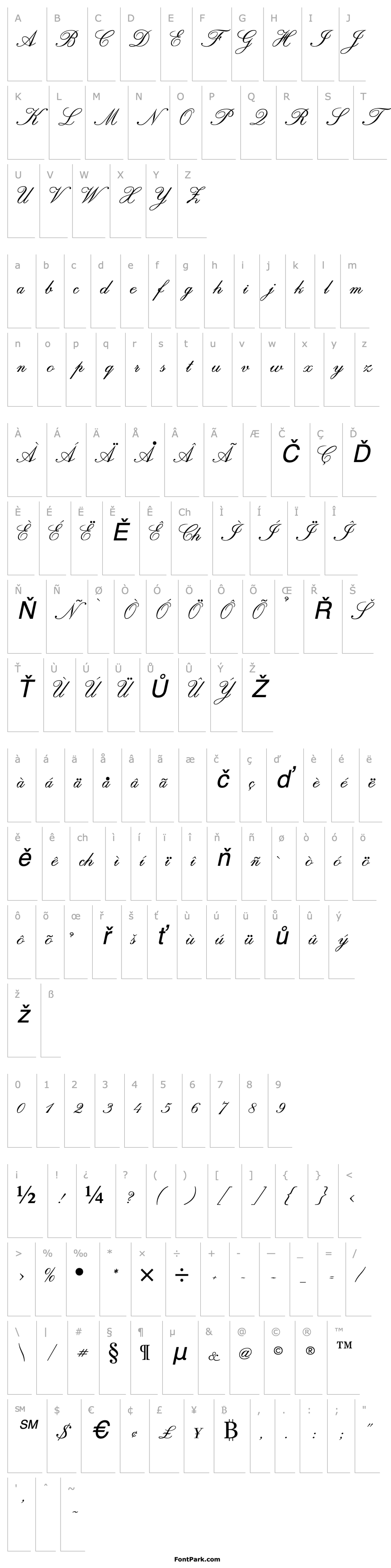 Overview Script Italic