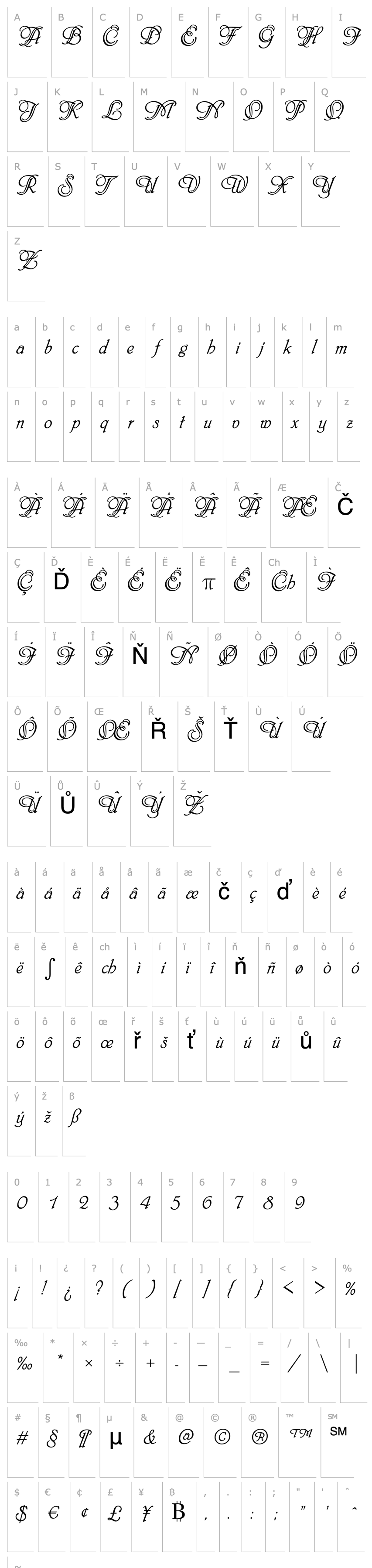 Overview Script-P720-Swashes-Regular