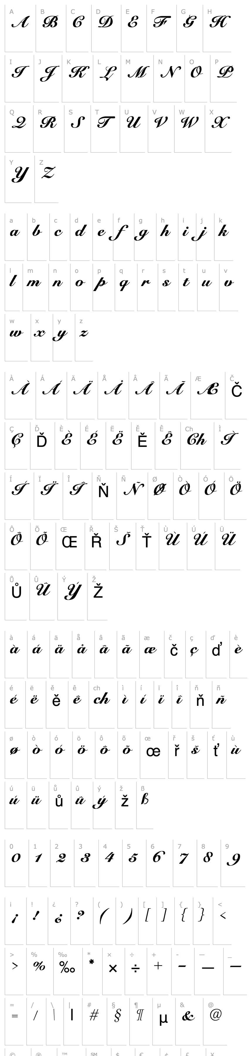 Přehled Script Roundhand Normal