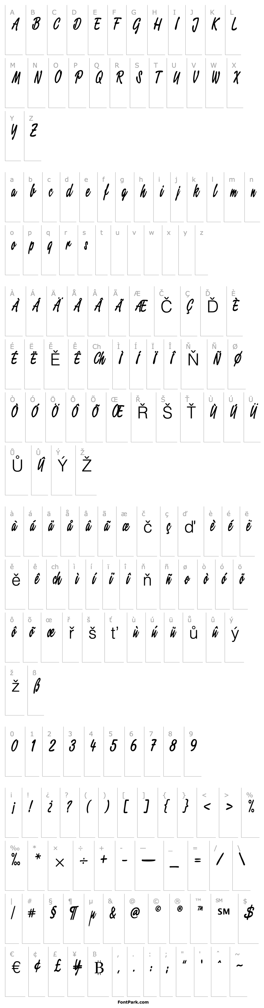 Přehled Script2 Condensed