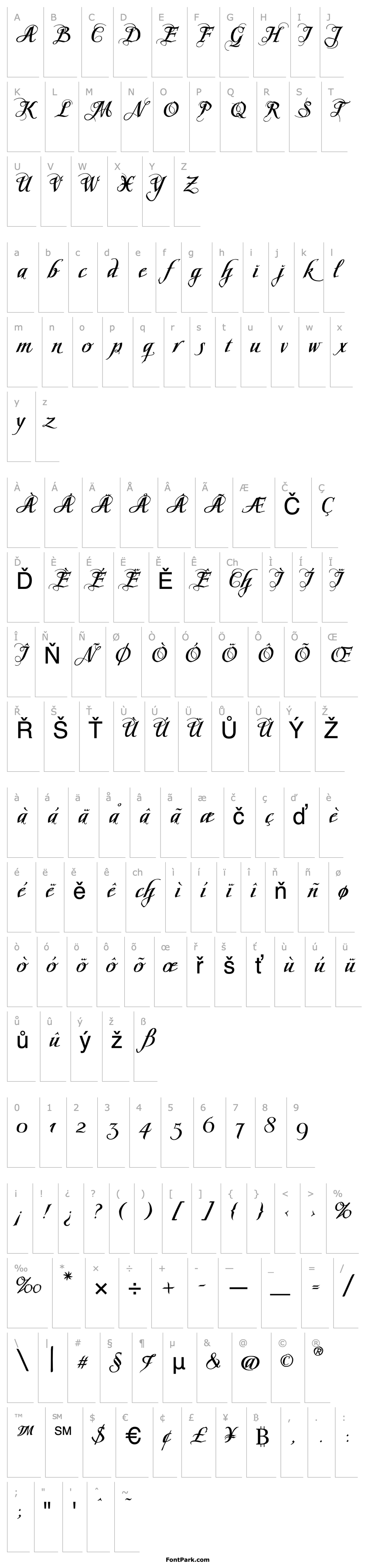 Přehled Scriptissimo Forte Swirls End PDF