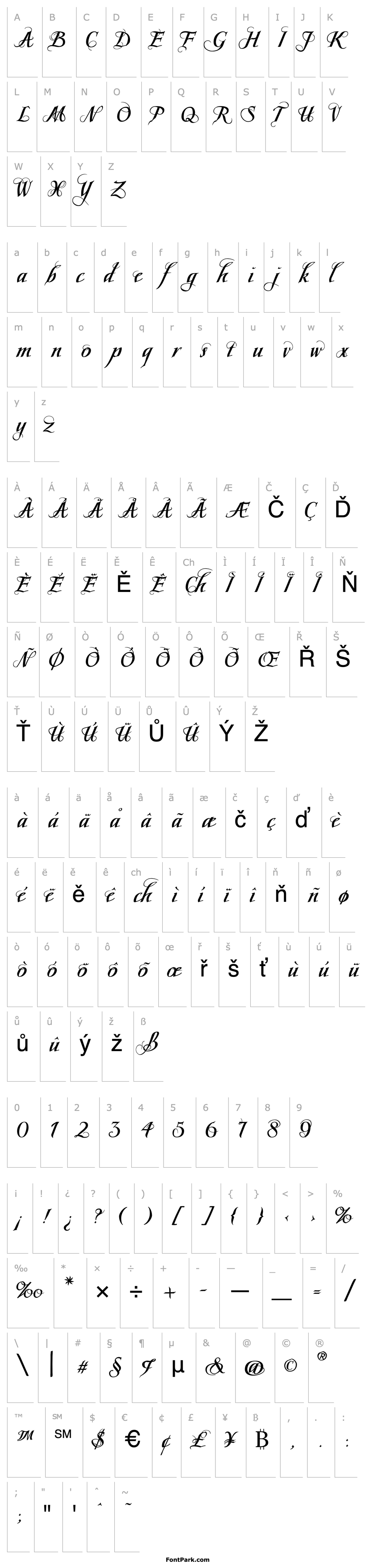 Přehled Scriptissimo Forte Swirls Middle PDF