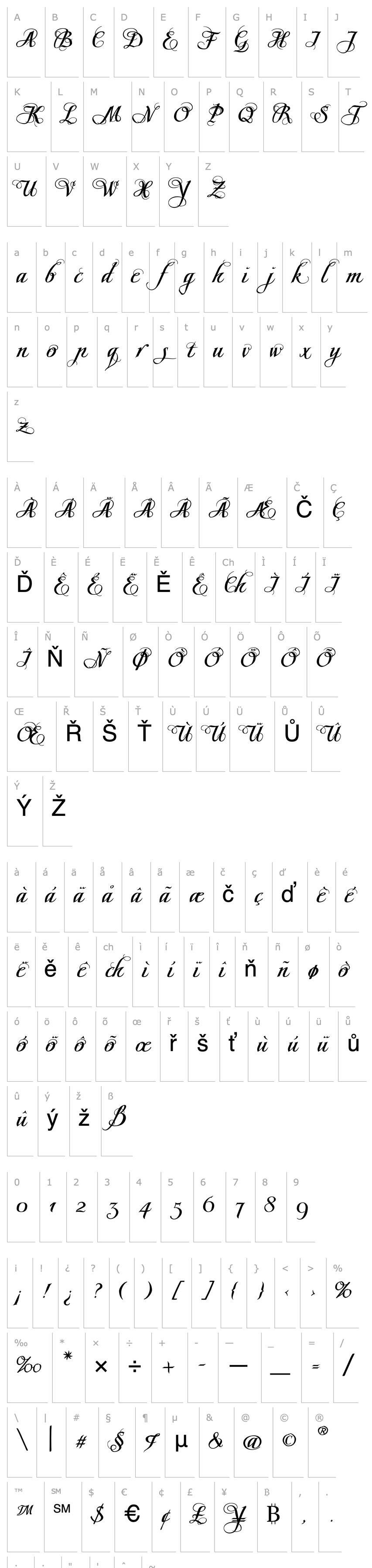 Přehled Scriptissimo Forte Swirls Start PDF