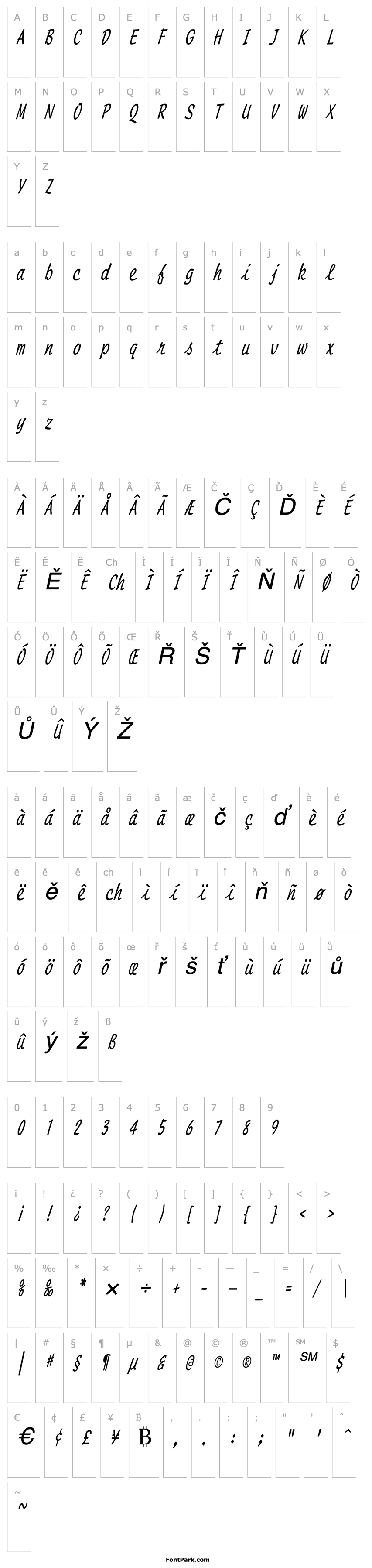 Overview ScriptMonoCondensed Italic