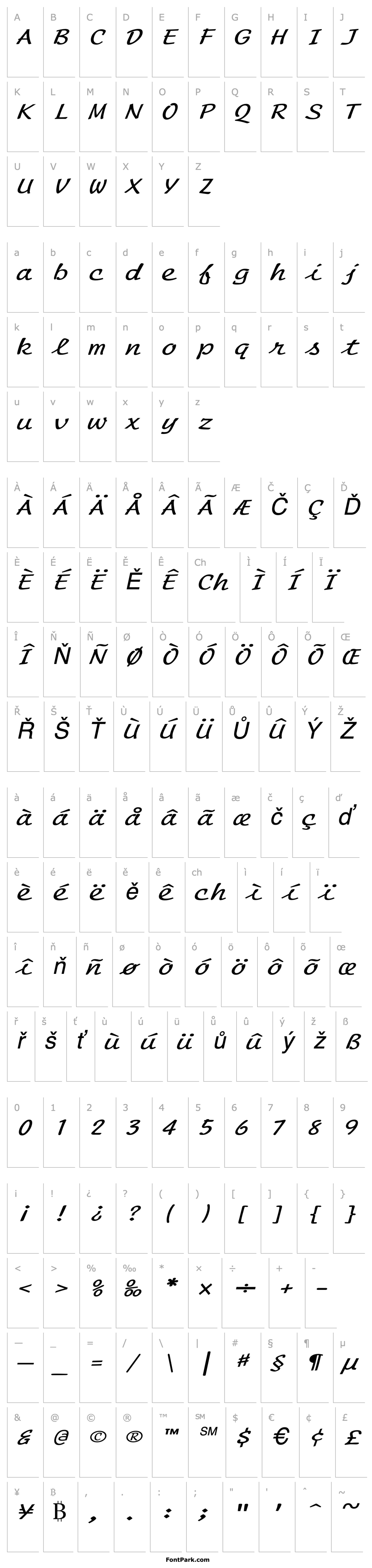 Overview ScriptMonoExtended Italic