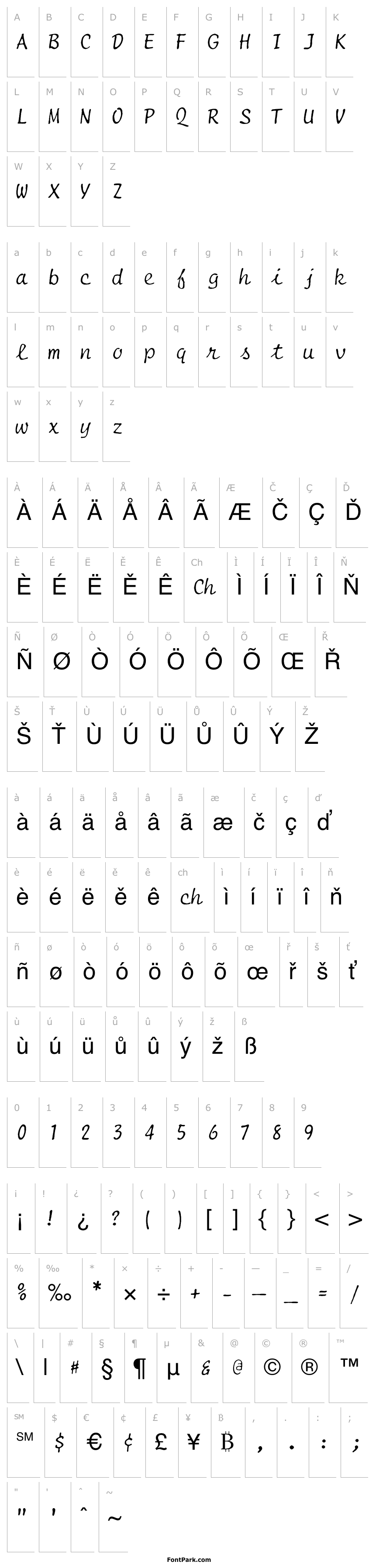 Přehled Selectric Script Regular