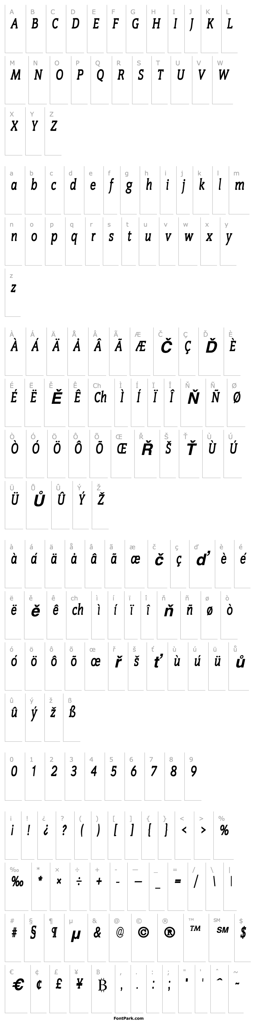 Overview SenateCondensed Bold Italic