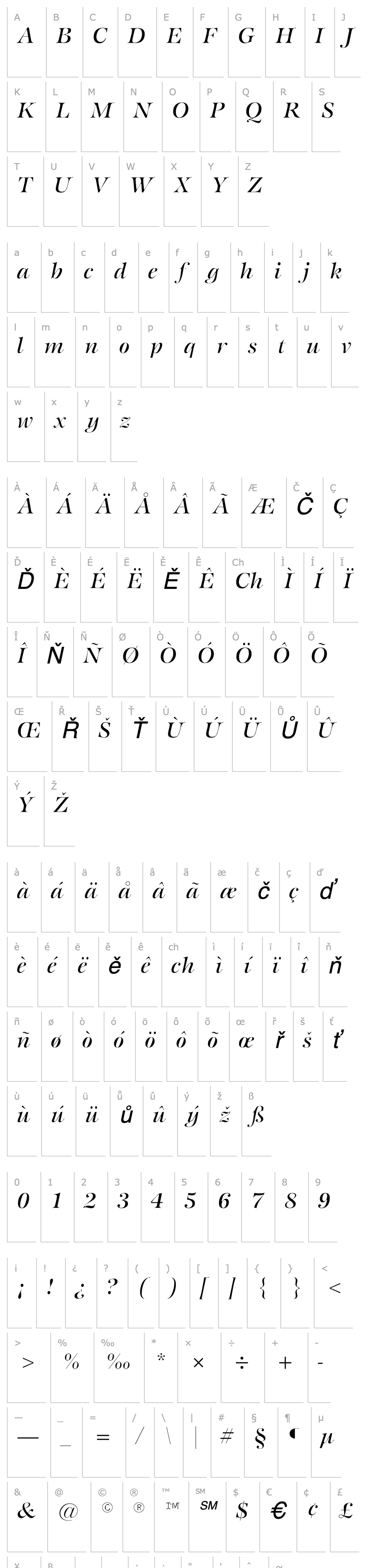 Overview SerenaSSK Italic