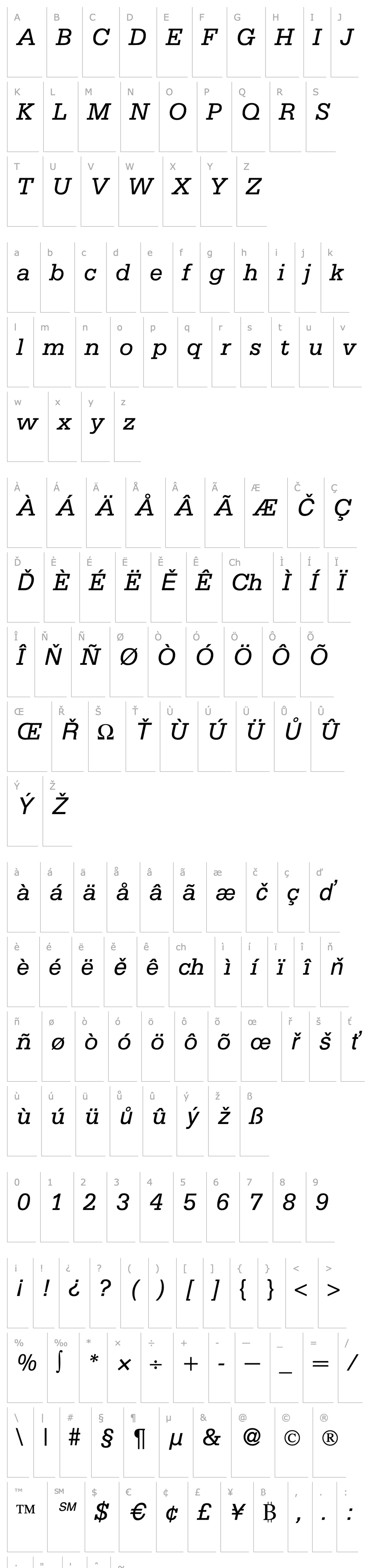 Overview Sergeant-RegularItalic