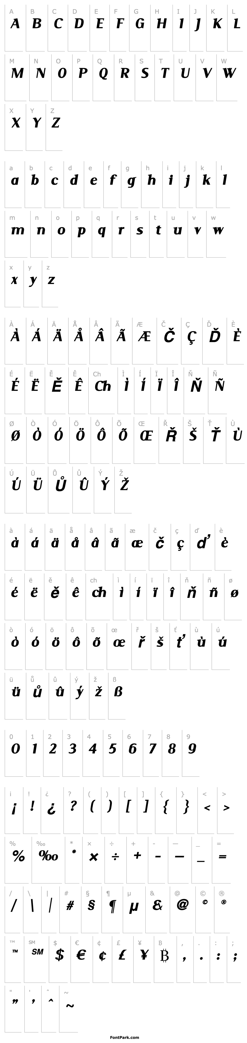 Přehled Serif BlackItalic