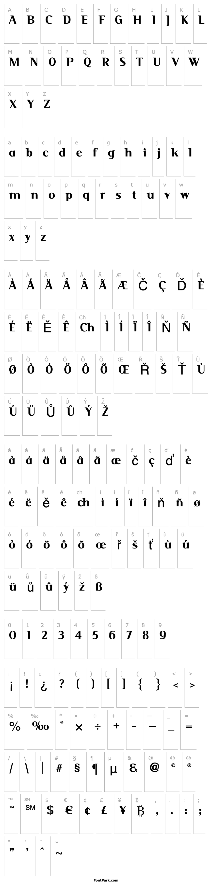 Přehled Serif Medium