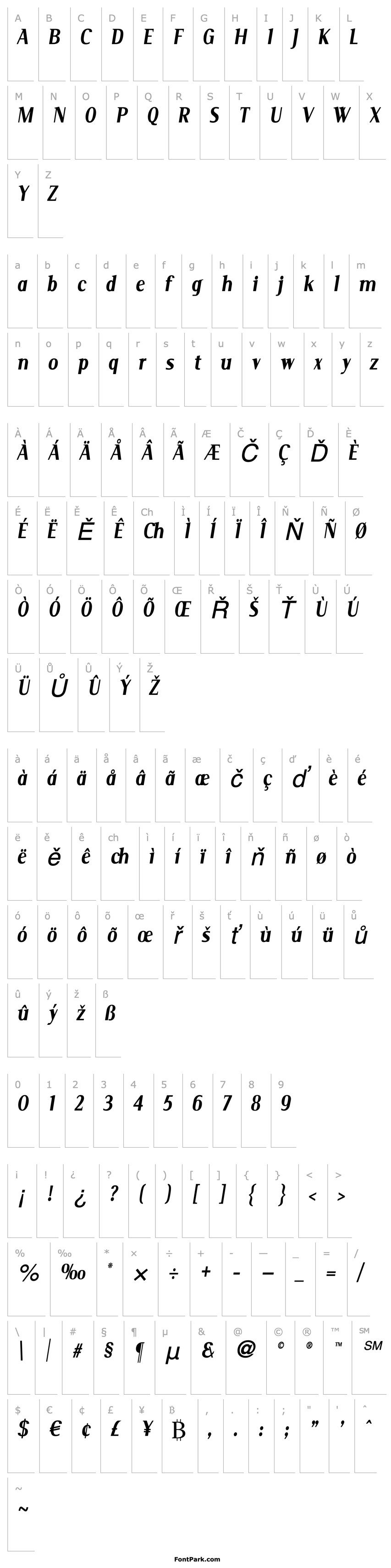 Overview Serif Narrow Italic