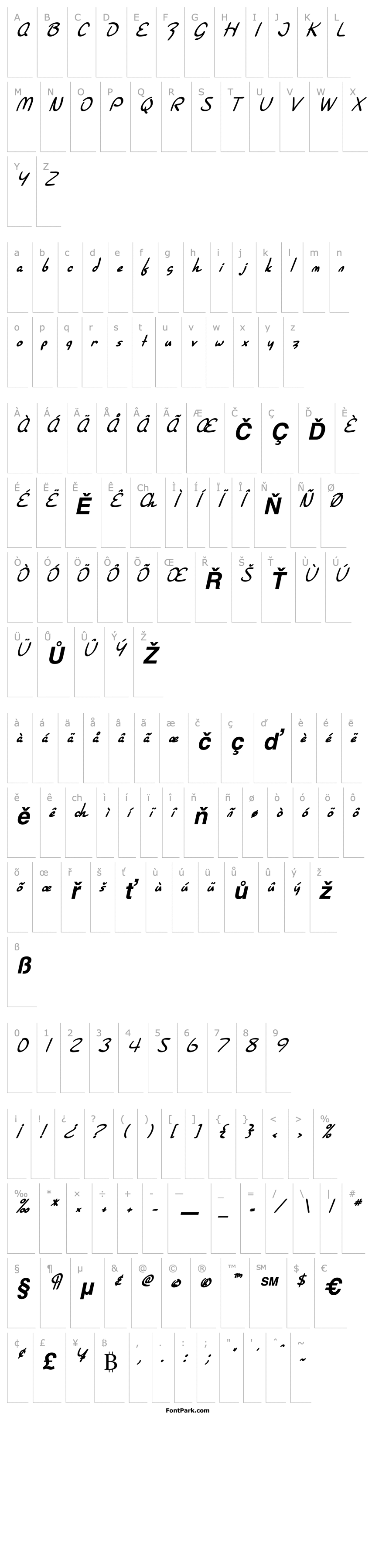 Overview SF Burlington Script Bold Italic