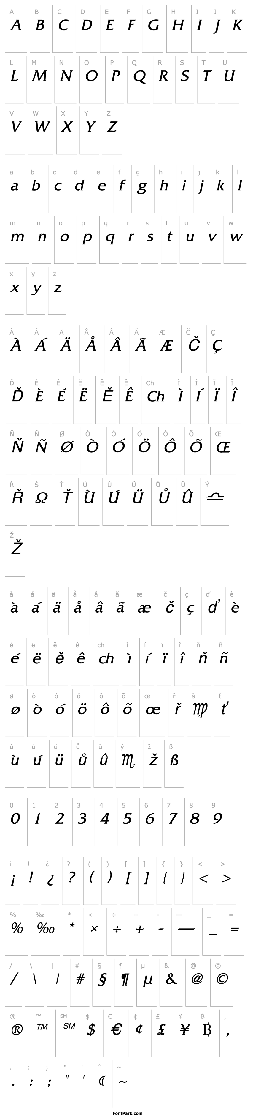 Overview Shadowrun-Italic