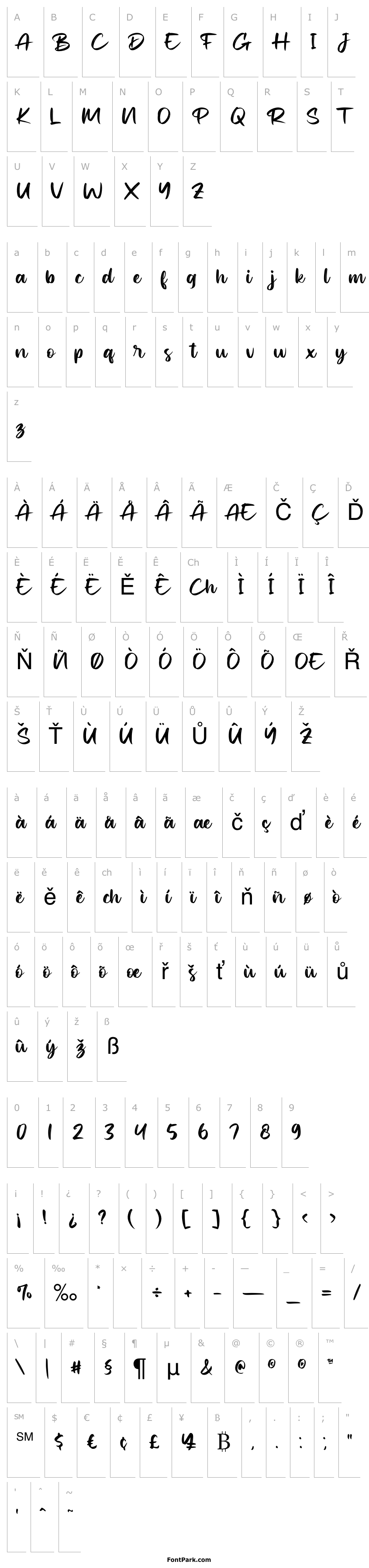 Přehled Shakies 