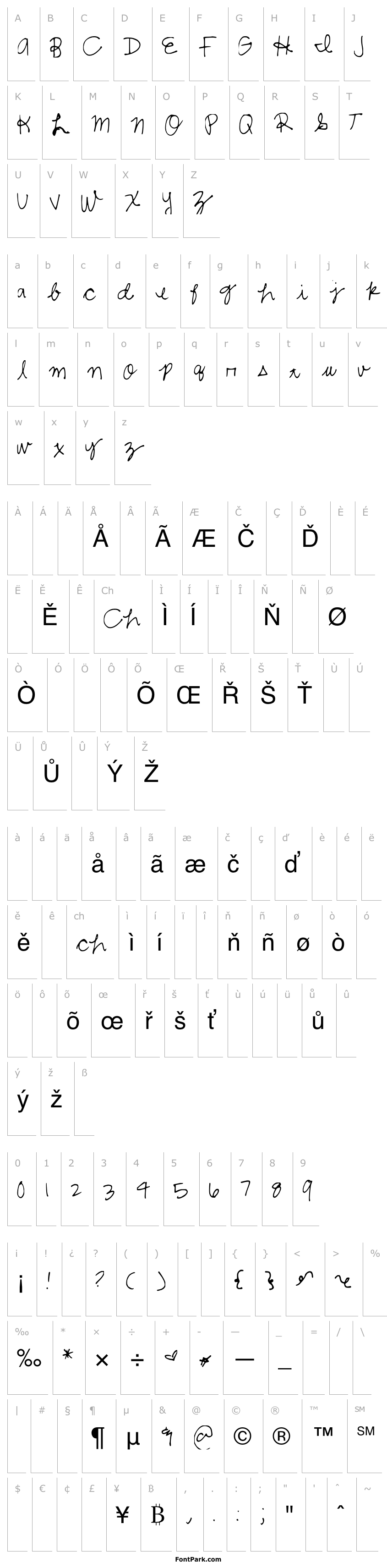 Přehled ShelbyCursive