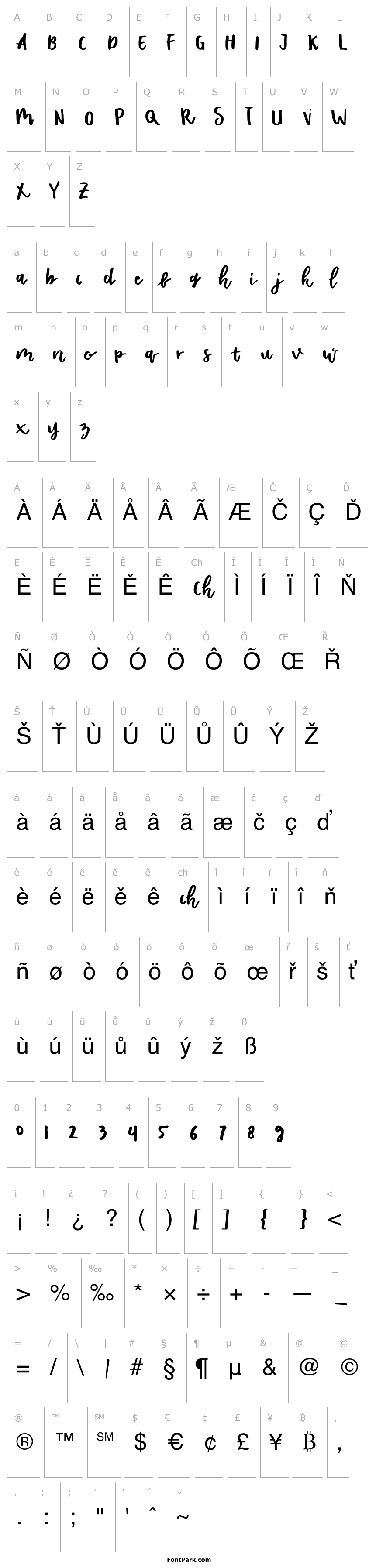 Overview Shella Rough - Font Duo