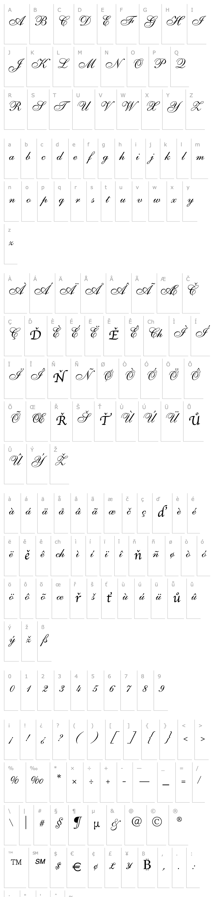 Přehled Shelley Allegro Script