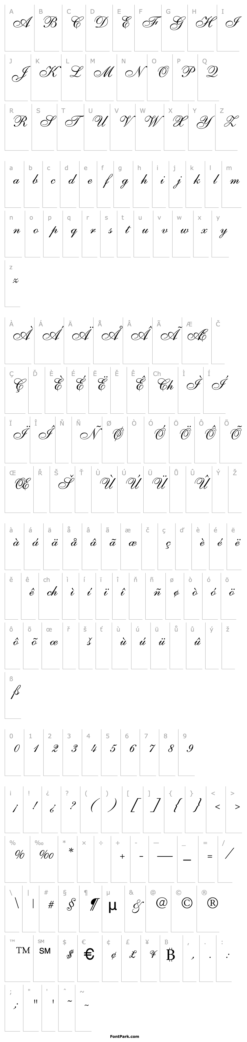 Přehled Shelley-AllegroScript