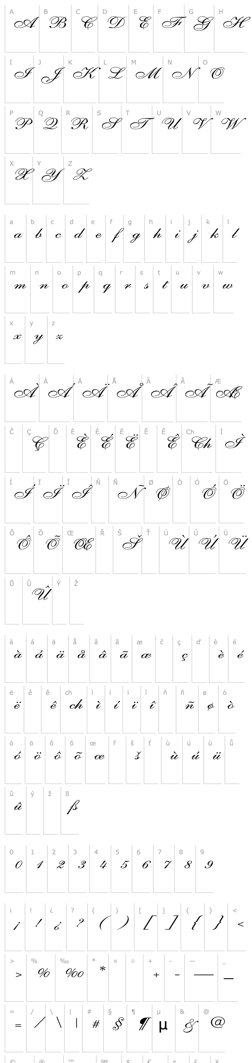 Overview Shelley-AllegroScript Wd