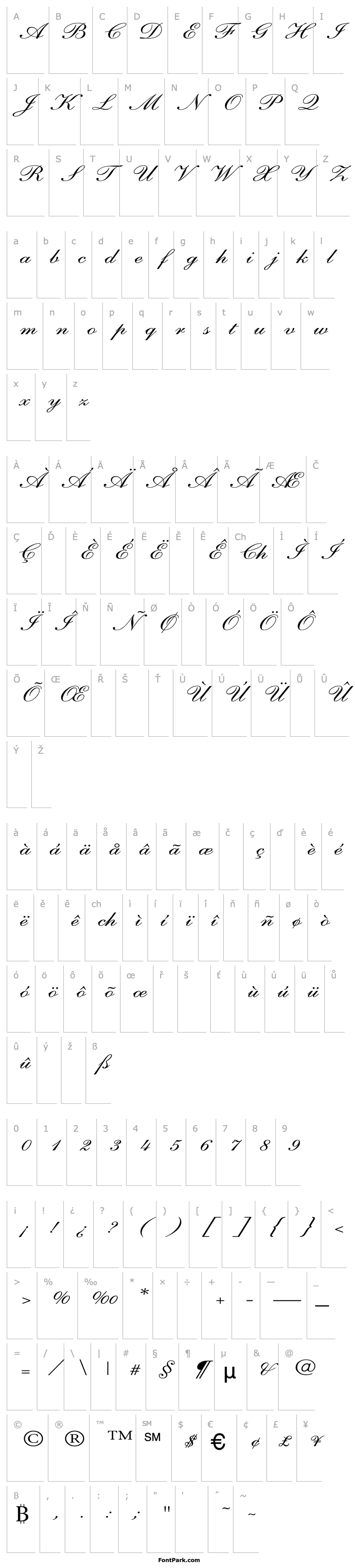 Overview Shelley-AndanteScript Wd