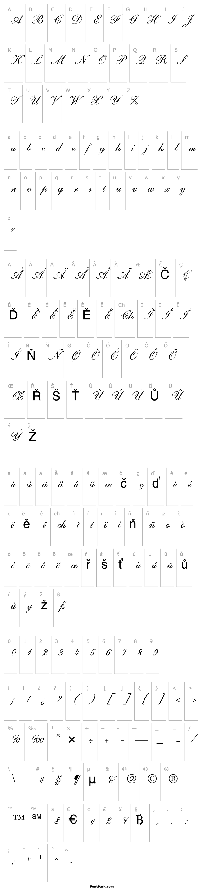 Overview Shelley-AndanteScriptA