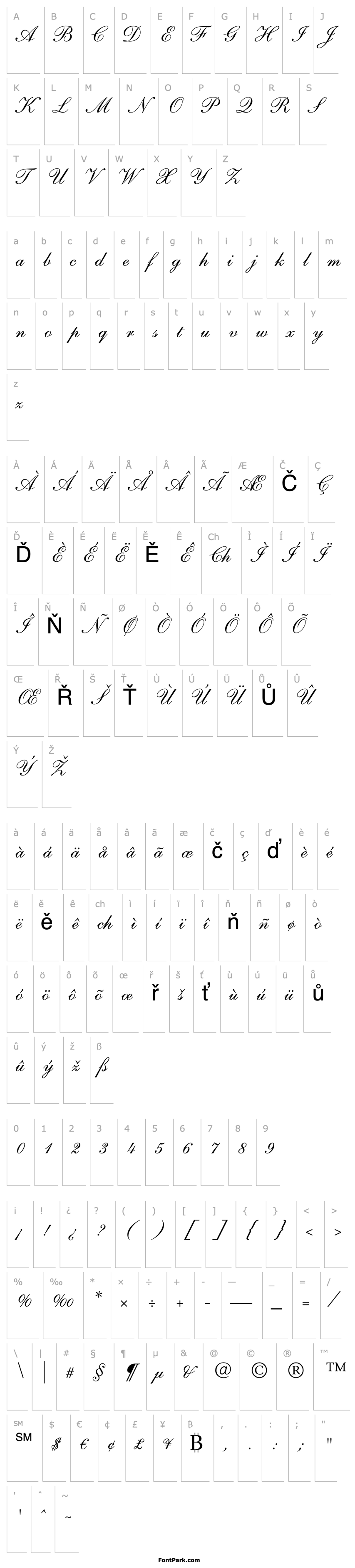 Přehled Shelley LT Andante Script