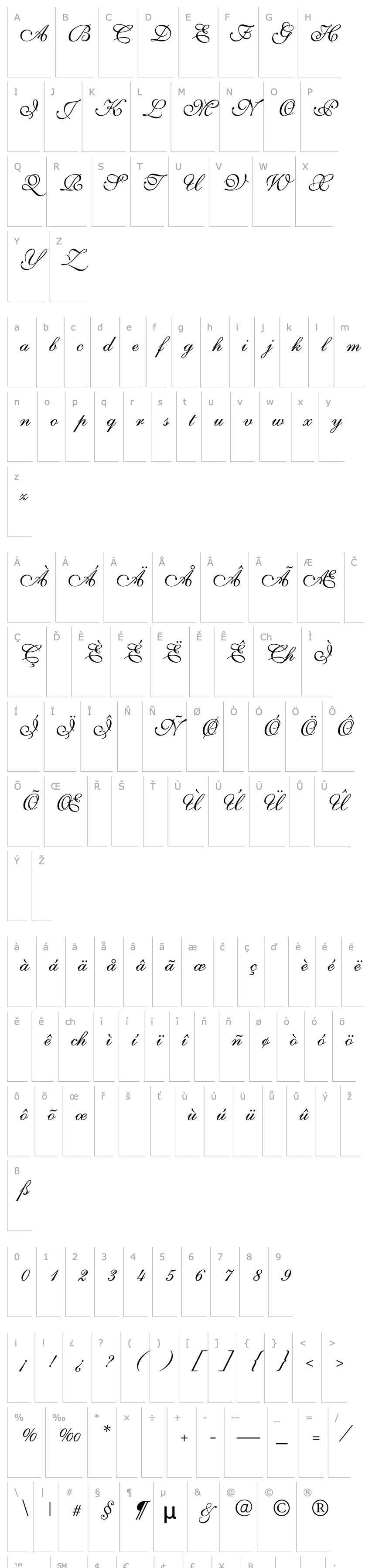 Overview Shelley-VolanteScript