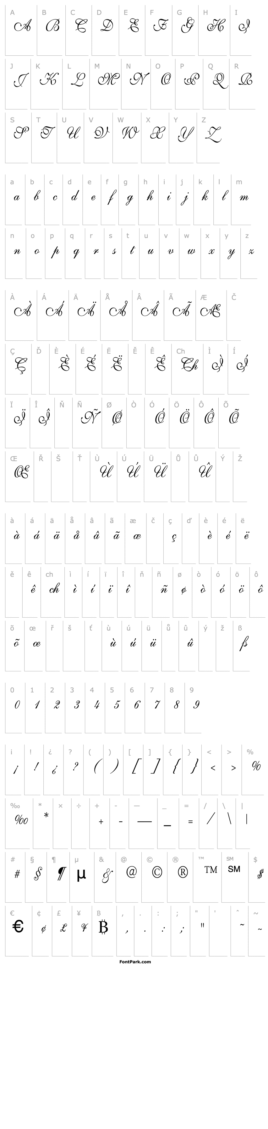 Přehled Shelley-VolanteScript Th