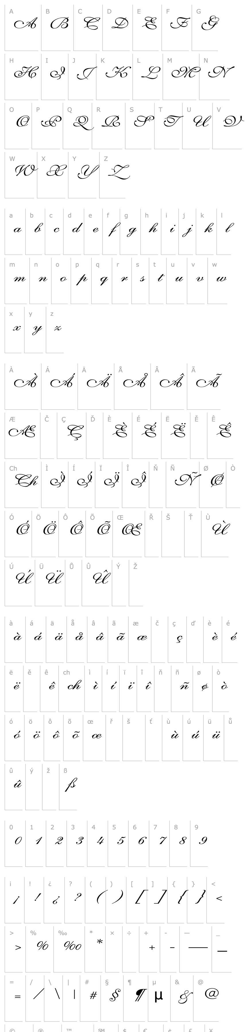 Přehled Shelley-VolanteScript Wd