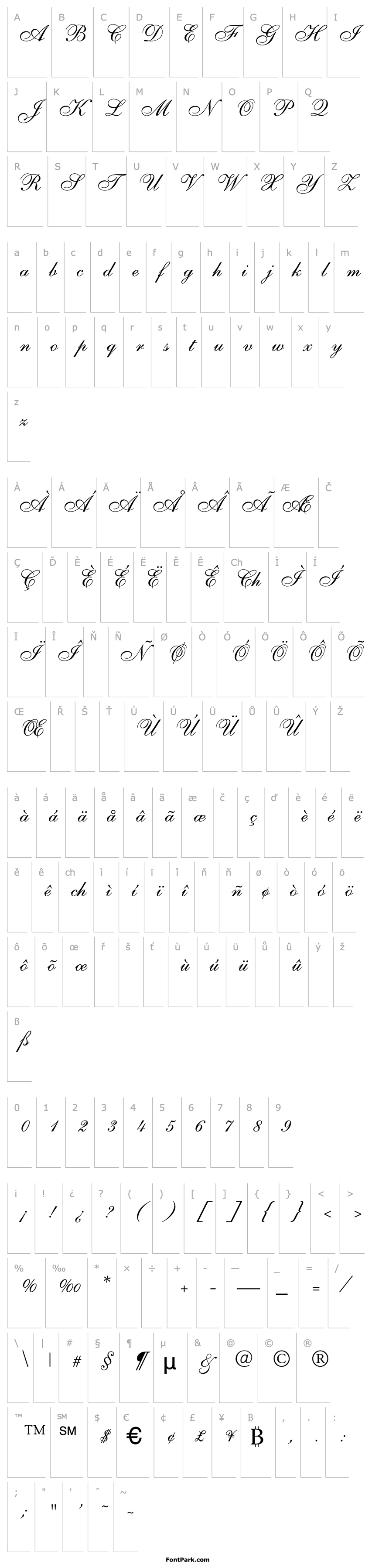 Overview ShelleyAllegroScript-Normal