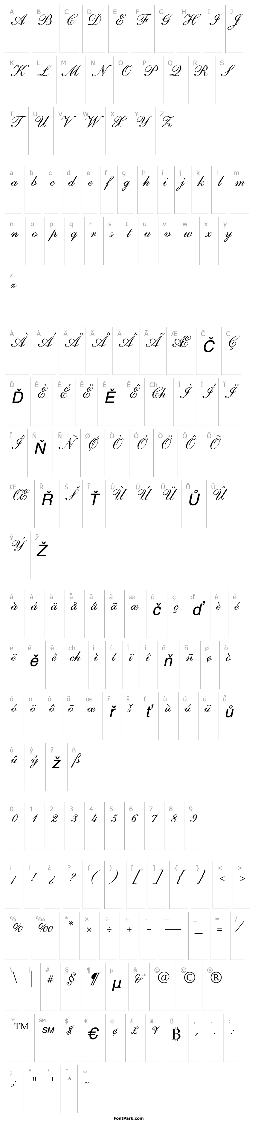 Overview ShelleyAndanteScript