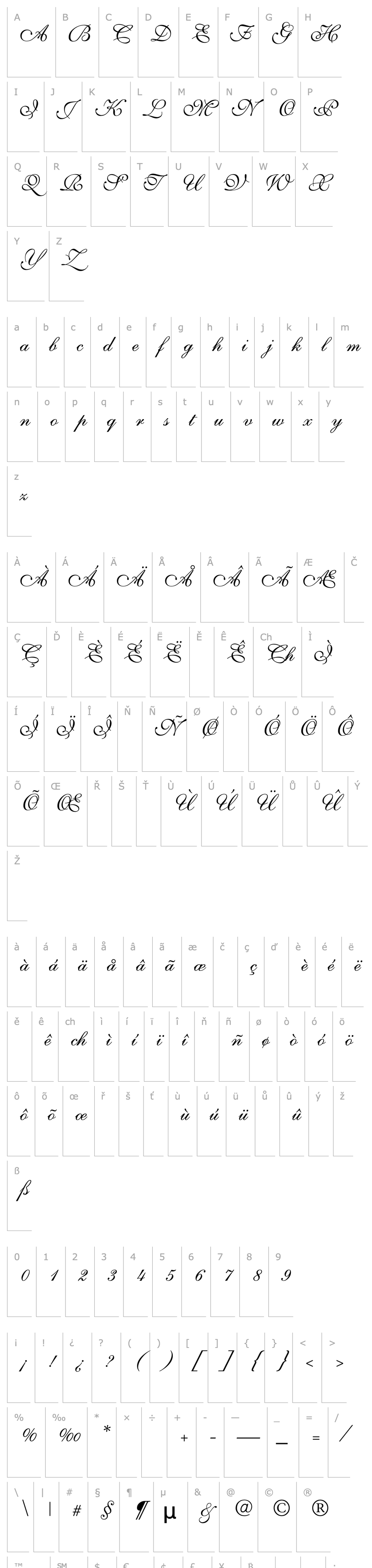 Přehled ShelleyVolanteScript-Normal